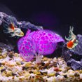 thumbnail image 2 of Silicona Resplandeciente Acuario Simulación Coral con Ventosa, Púrpura, 2 of 7