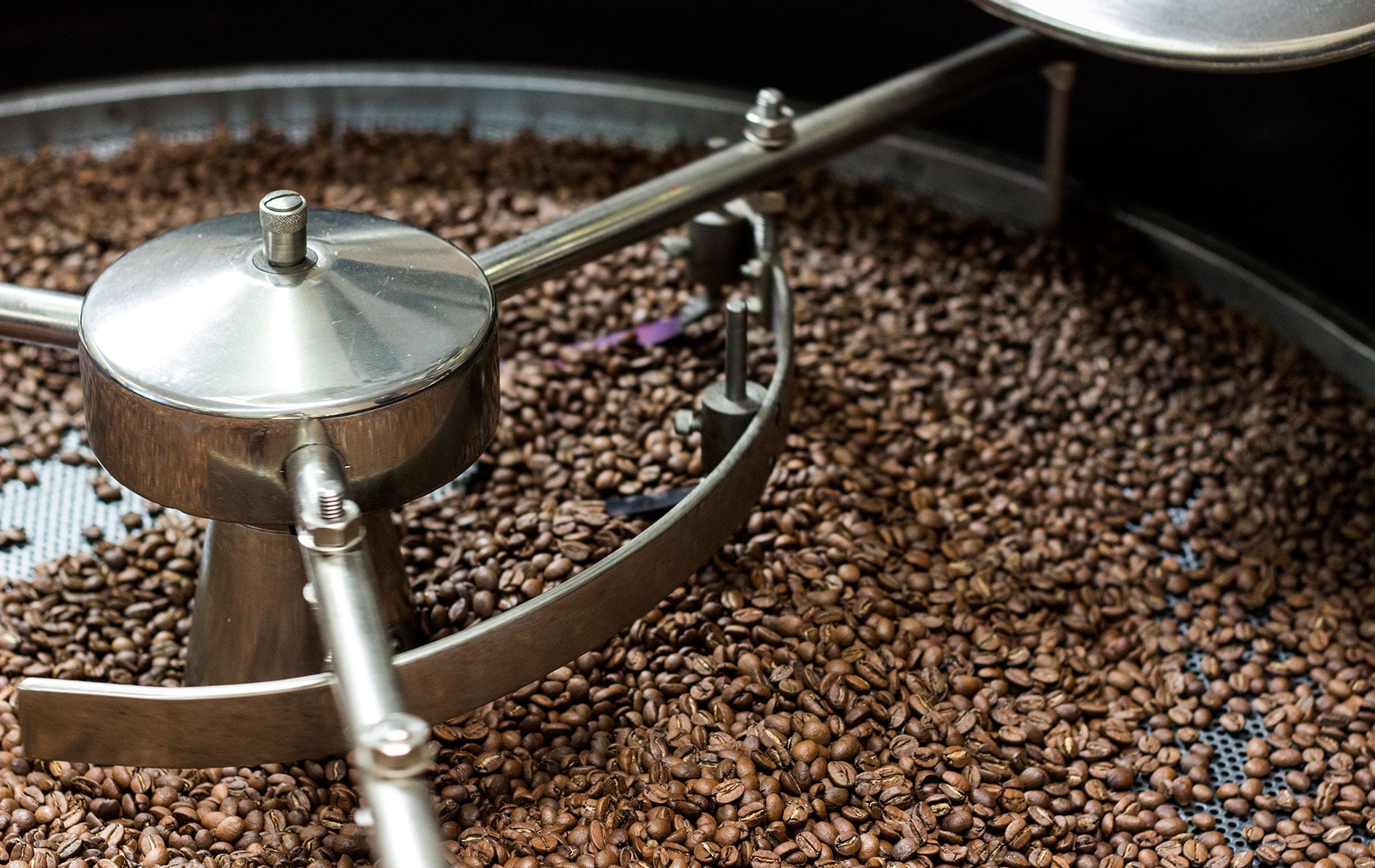 Bayou City Coffee Pecan Praline Organic & Fair Trade Medium Roast Whole Bean  12 oz