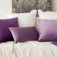 thumbnail image 5 of Paquete de 2 fundas de almohada cuadradas decorativas suaves de terciopelo, fundas de almohada para sofá, dormitorio, coche, 12 x 20 pulgadas, 30 x 50 cm, violeta (hy), 5 of 5