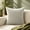 B, variant on Decorative Throw Pillow, Style B, soft filled accent cushion with a playful seasonal design, for sofa, bed, bedroom, living room, gifts and holiday home decor