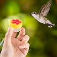 thumbnail image 5 of Alimentador de colibrí de mano, 4 unidades de mini alimentador de colibrí de mano con 4 cepillos de limpieza, comederos para suministros al aire libre, 5 of 5