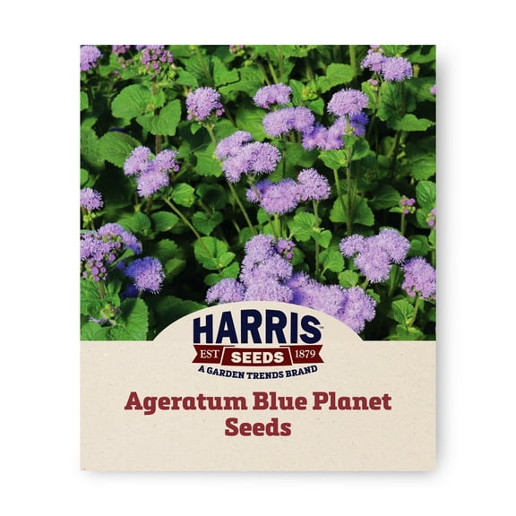 Harris Seeds - Ageratum Blue Planet F1 Seeds - Fast Germination - 500 Seeds
