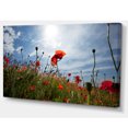 thumbnail image 2 of Poppy Flower Field View From Ground - Floral Canvas Art Print, 2 of 3