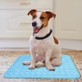 thumbnail image 6 of 2025 Upgraded Dog Cooling Mat – Extra Large 40"x30" Cooling Pad for Dogs & Cats, Portable Pet Cooling Bed with Water-Absorbing Top, Washable & Safe for Summer Indoor/Outdoor Use, 6 of 6