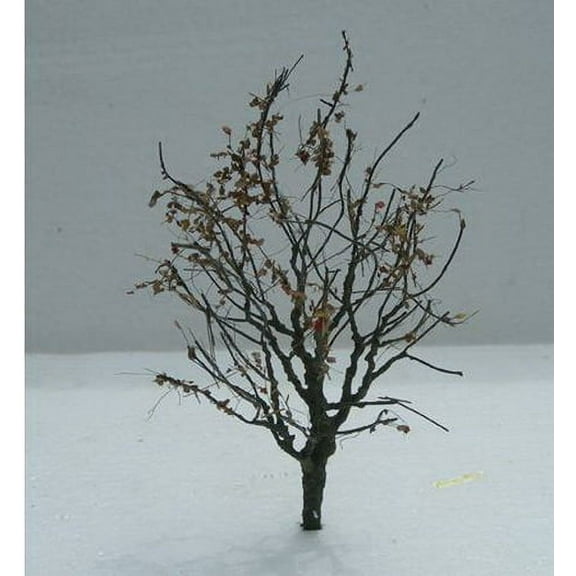 Dry Foliage, Trees 354 (2)