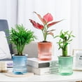 thumbnail image 2 of Transparent Double Layer Plastic Flower Pot Self Watering Flowerpot With Rope, 2 of 4