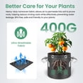 thumbnail image 3 of Bolsas para cultivo de plantas InfiniPower, paquete de 5 unidades, 19 litros, con anillos y asas, 3 of 7