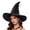 Black7*, variant on RUTAYY Women's Halloween Witch Hat Spider Web Embroidery Bat and Rose Decor Wide Brim Party Hats Black