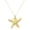 Big Starfish Necklace, variant on Seashell Starfish Necklace for Women Conch Shell Summer Pearl Beach 14k Gold Layered Dainty Choker