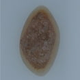 thumbnail image 1 of 31x17mm Polished Druzy, 1 of 1