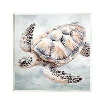 Stupell Industries Detailed Sea Turtle Animals & Insects Painting Unframed Art Print Wall Art, 12 x 12