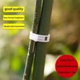 thumbnail image 4 of Plant Support Garden Clips - Tomato Trellis Clips for Vine Vegetables, Adjustable Plant Holding Clips to Train Climbing Plants to Grow Upright(100PCS), 4 of 7