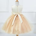 thumbnail image 3 of Aayomet Tween Girls Dresses Kids Toddler Girl Long Sleeve Ruffle Layered Floral Tulle Tutu Dresses,Beige 6-7 Years, 3 of 4