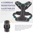 thumbnail image 4 of Pechera Para Perro Chico Arnes Ajustable Cintas Reflejantes, 4 of 8