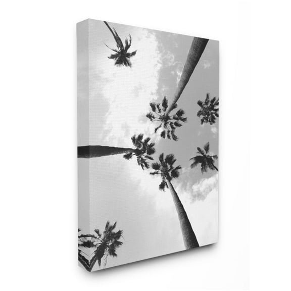 Stupell Industries Black and White Sky Through Palm Trees Design by Ziwei Li, 24" x 30"