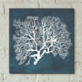 thumbnail image 6 of Epic Art 'Inverse Sea Fan III' by Grace Popp, Acrylic Glass Wall Art, 12"x12", 6 of 8