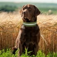 thumbnail image 6 of KBOOK Reflective Tactical Dog Collar for Medium Large Dogs Heavy Duty Nylon Dog Collars with Handle(Black,xl), 6 of 6