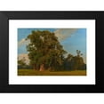 thumbnail image 2 of Ferdinand Georg Waldmüller 14x11 Black Modern Framed Museum Art Print Titled - Great Praterlands (1849), 2 of 5