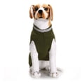 thumbnail image 5 of Halloween Dog Sweaters Sets Grass Green Skull Boo Puppy Dog Clothes Pet Knitwear for Dog Cat Pet Costume-XXL, 5 of 6