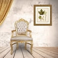 thumbnail image 3 of Unknown  12x14 Gold Ornate Wood Framed with Double Matting Museum Art Print Titled - Antique Leaves V, 3 of 4