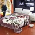thumbnail image 1 of Double Layer Raschel Blankets 150*200cm Soft Warm Faux Fur Mink Throw Thicken Fluffy Microfiber Plush Weighted Blankets For Beds, 1 of 5