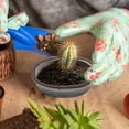 thumbnail image 3 of Ceramic Bonsai Planter Grey 1Pack 3.7Inch, 3 of 5