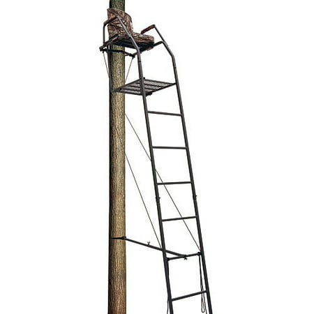 Big Dog Blue Tick Ladder Stand