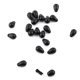 thumbnail image 4 of Perlas de cambio rápido Perlas de conector de cambio rápido Alimentador de conector de cuentas 20 piezas Alimentador de método de pesca de carpa negra Perlas de cambio rápido ANGGREK Otros, 4 of 5