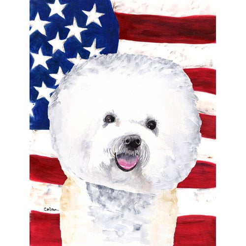 Caroline's Treasures American 2-Sided Polyester 15 x 11 in. Garden Flag