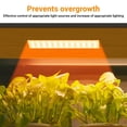 thumbnail image 3 of Plant Grow Light, Full Spectrum Plant Grow Light Strips Bulbs Adjustable Brightness Plant Lamp with Timing Function Grow Light Bulb 24 Hour Timing Cycle for Indoor Plants, 3 of 7