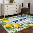 thumbnail image 4 of Summer Lemon Washable Area Rugs 4'x6', Oceans Blue Shells Starfish Flower Blue Plaid Low Pile Throw Living Room Rug Non-Slip Sturdy Edge Binding Carpet for Indoor Entryway Bedside Kitchen, 4 of 9