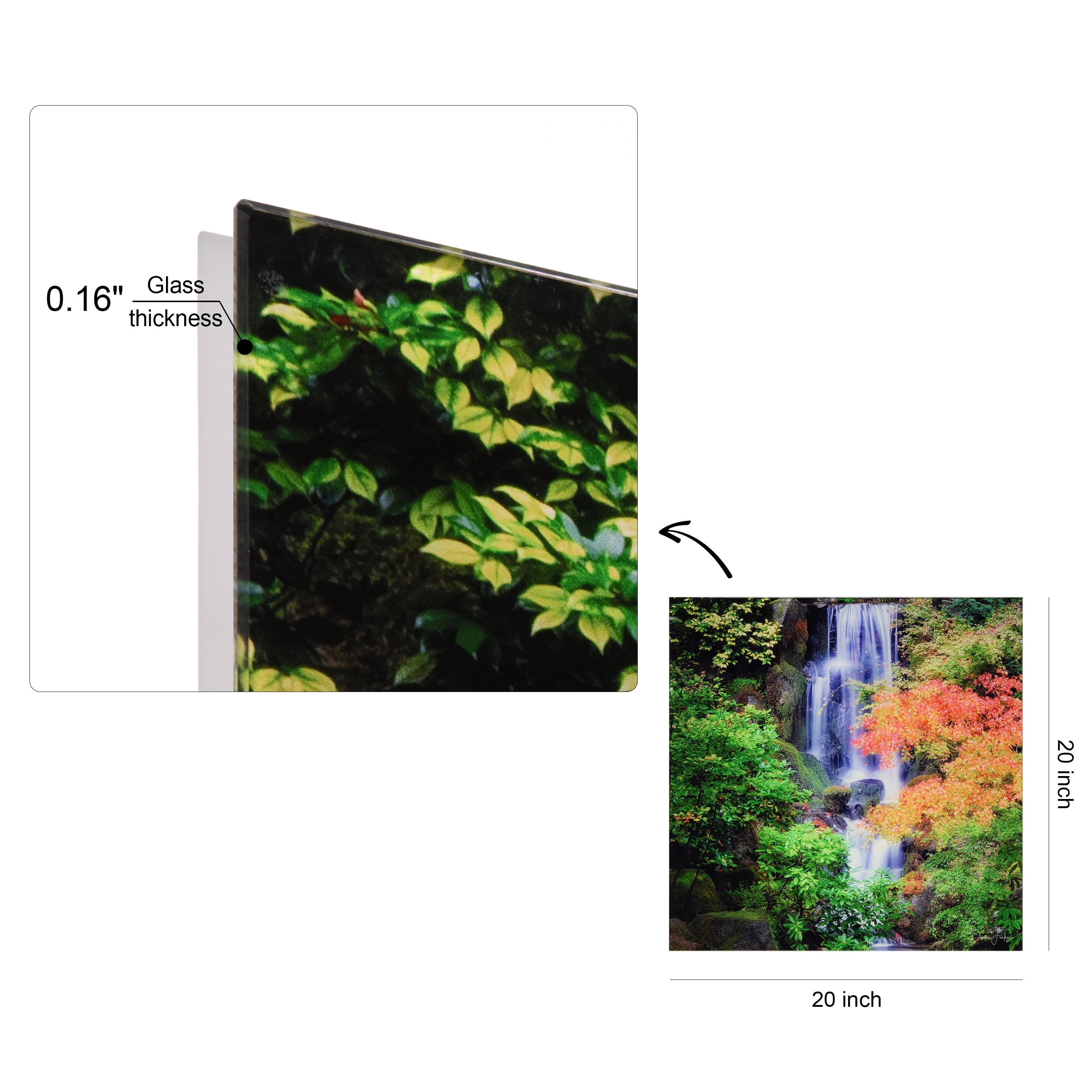 "Amazon's Water Lilies" Frameless Free Floating Reverse Printed Tempered Glass Nature Scapes Wall Art