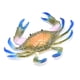 thumbnail image 1 of Cangrejo De Plástico Duradero, Modelo De Alta Simulación, Juguetes De Cangrejo, Educación Temprana Para Bebés De Más De 3 Años, 1 Ud., 1 of 8