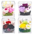 thumbnail image 3 of Boîte de Rangement en Acrylique Transparent Compatible Anti-Poussière pour Objets de Collection, Fleurs Préservées Diorama de Roses 4 Pcs, 3 of 5