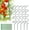 Spiral rod, variant on Tomato Twist Stake, 2025 New Metal Single stemmed Flower Support Hoops Spiral Tomato Stakes, Plant Sticks Support for Potted Plants Tomato Rose Vine (5, Spiral Rod)