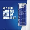 Red Bull Blue Edition Blueberry Energy Drink, 8.4 fl oz, Pack of 4 Cans