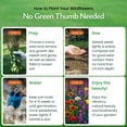 thumbnail image 5 of Created By Nature Oregon Wildflower Seed Mix, 20 Flower Varieties, 60,000 Seeds, 5 of 6