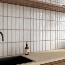 The Tile Life Coast 2.5" x 8" Arena Glossy Porcelain Subway Wall Tile, Case of 28