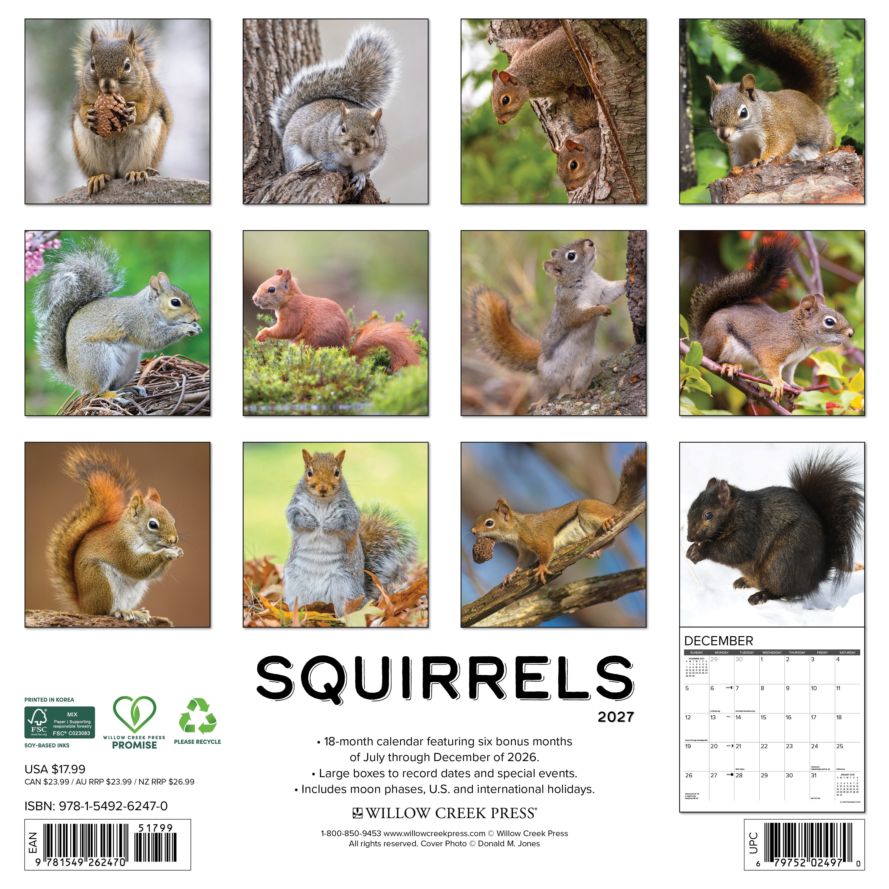 Willow Creek Press, Squirrels 2027 Wall Calendar