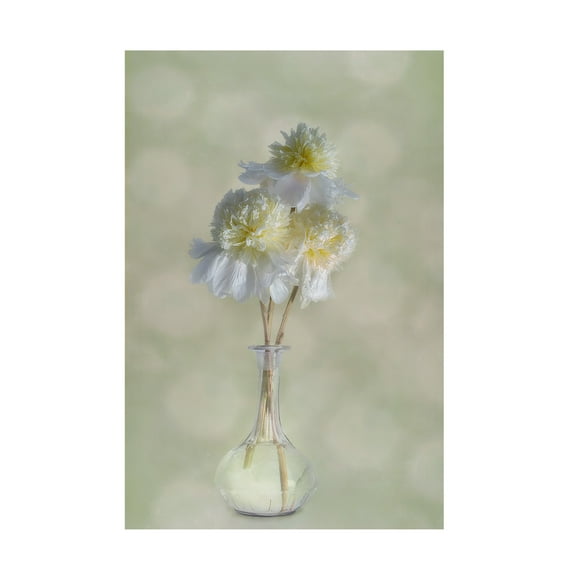 Canvas Wall Art - Gaille Gray 'Peonies' Wall Art for Living Room, Bedroom, or Office Décor by Trademark Fine Art - 12 x 19 Inches