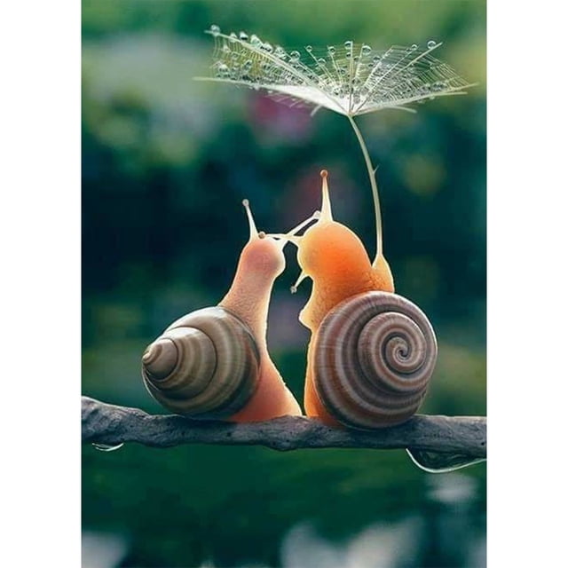 Taladro Diamante Pintura (DE3316) 5D DIY Bordado de punto de cruz completo (Animal-W158) 50x70cm FLhrweasw Nuevo