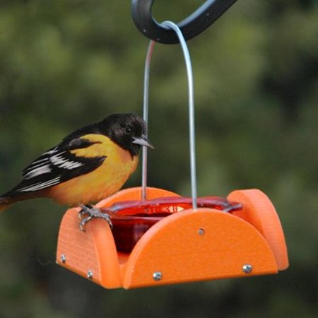Woodlink Bird Home Going Green Oriole Feeder Orange Walmart