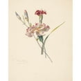 thumbnail image 3 of Albertus Steenbergen 12x14 Black Modern Framed Museum Art Print Titled - Study Sheet with Carnations (1824 - 1900), 3 of 5