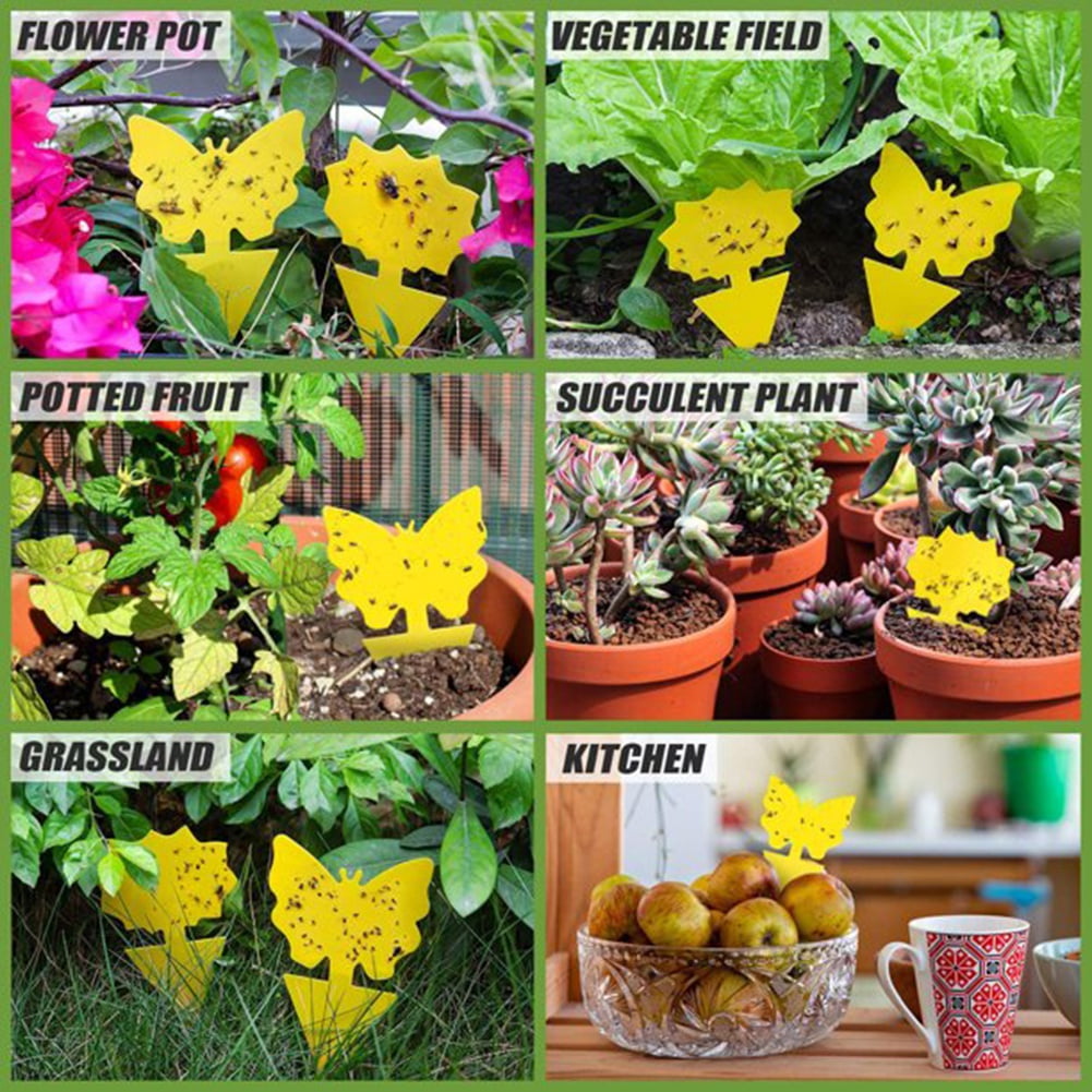 Garsum® Hanging Yellow Fruit Fly Traps with Holes