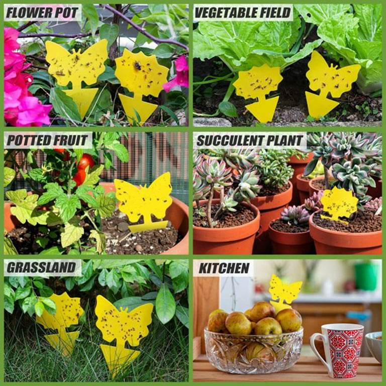 48 Pcs Sticky Traps for Fruit Fly, Whitefly, Fungus Gnat, Mosquito and Bug,  Yellow Plant Sticky Insect Catcher Traps for Indoor/Outdoor/Kitchen