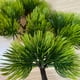 thumbnail image 3 of Plantas Artificiales Injueey 4 Piezas Materiales de Artesanía Champán, 3 of 6