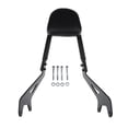 thumbnail image 2 of Respaldo Desmontable Sissy Bar XV950 Nuevo Cola Sissy Bar Respaldo Pad, 2 of 8