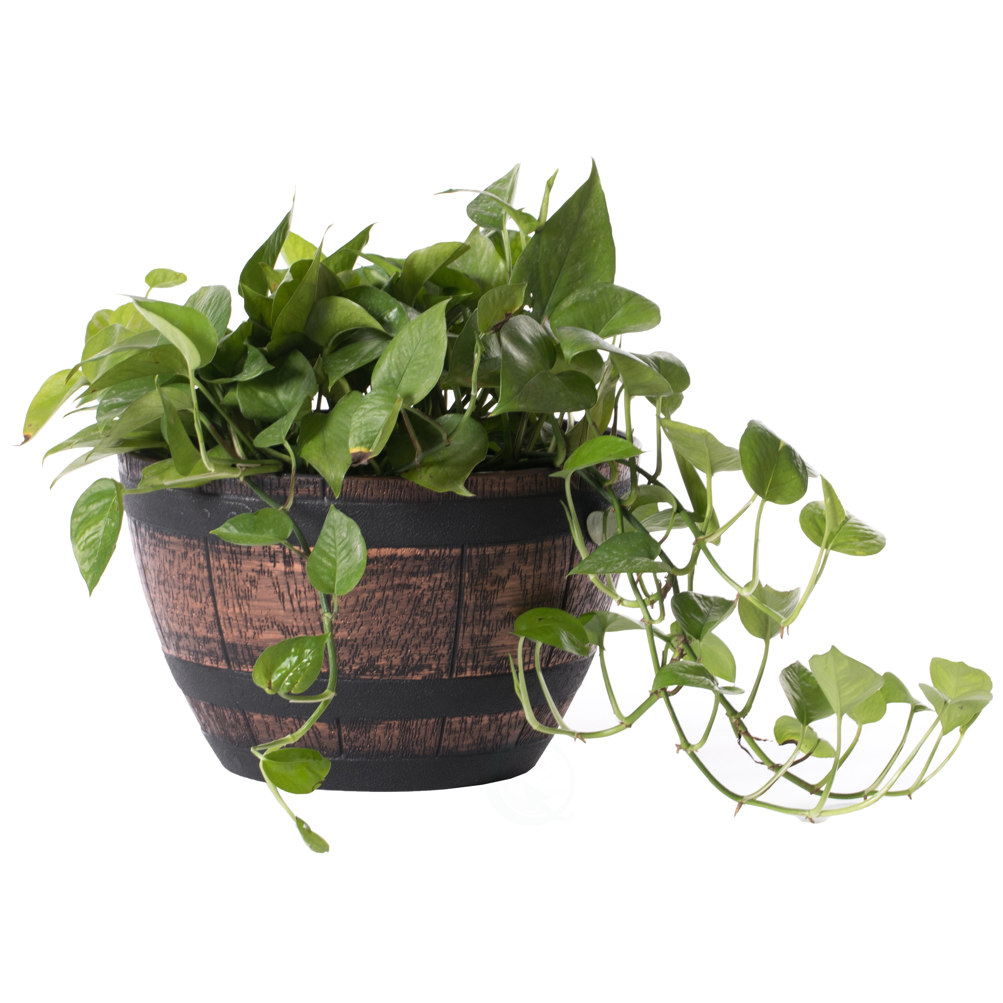 Brown Outdoor Rustic Half Barrel Flower Garden Planter Bowl, Plastic