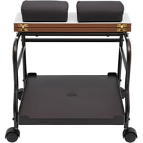 2 Tiers Beauty Salon Nail Or Foot Bath Spa Portable Trolley Cart for Foot Rest Pedicure Manicure Funiture Massage Table Salon Supplies Footrest Stand (Coffee)