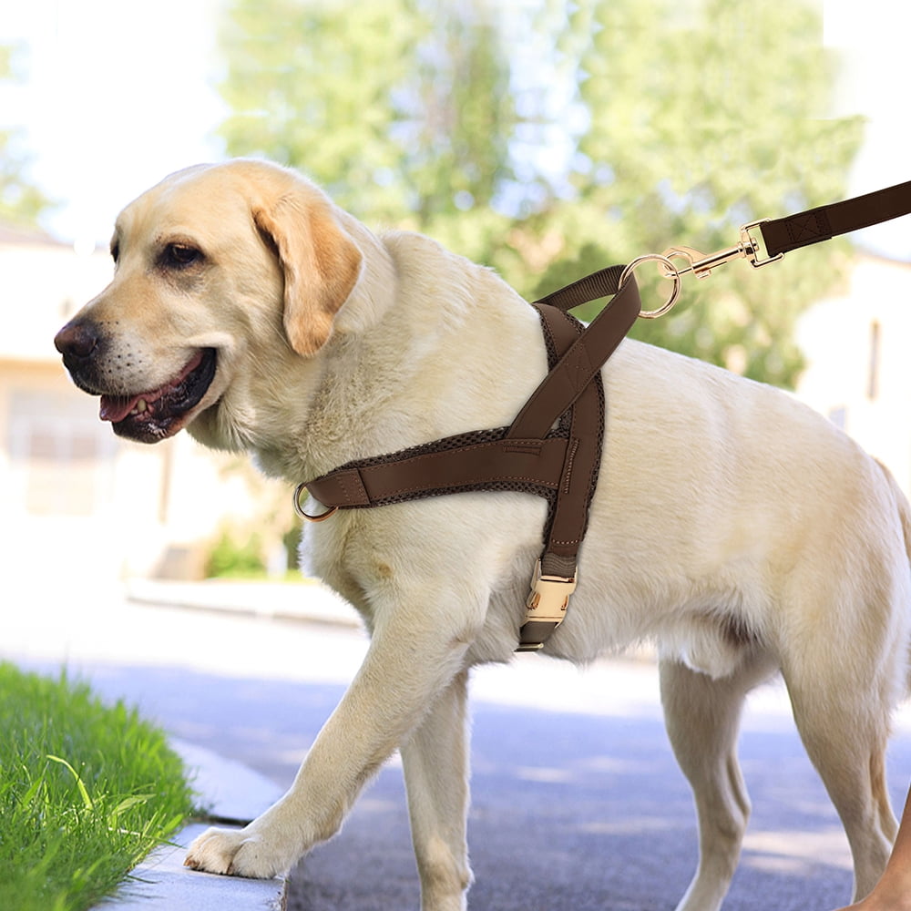 Didog Front Clip No Pull Dog Vest Harness and Leash set Adjustable Mesh Padded Heavy Duty Buckle
